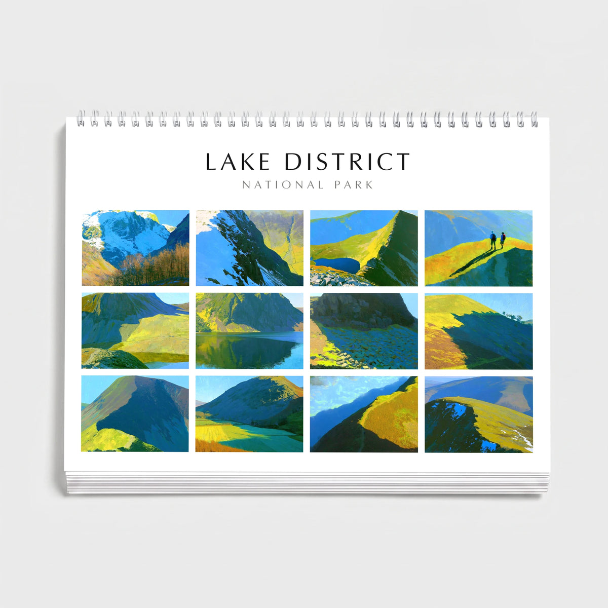 Daphne Morley 2027 wall calendar cover — all twelve monthly paintings