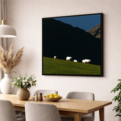 Sunlit Herdwicks on Dark Fellside lake district wildlife wall art displayed in a dining room