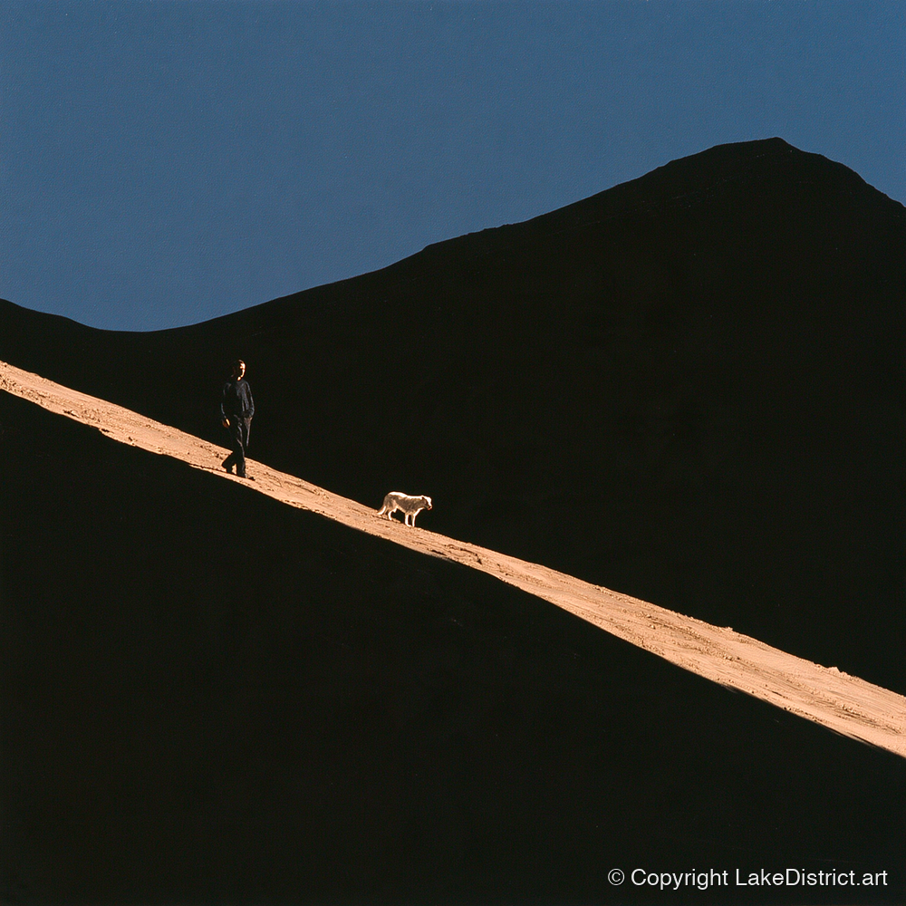 Dog Walker on Sunlit Skiddaw - gifts for dog walkers art print and canvas by Adelaide Calloway A.I