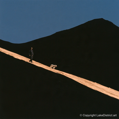 Dog Walker on Sunlit Skiddaw - gifts for dog walkers art print and canvas by Adelaide Calloway A.I