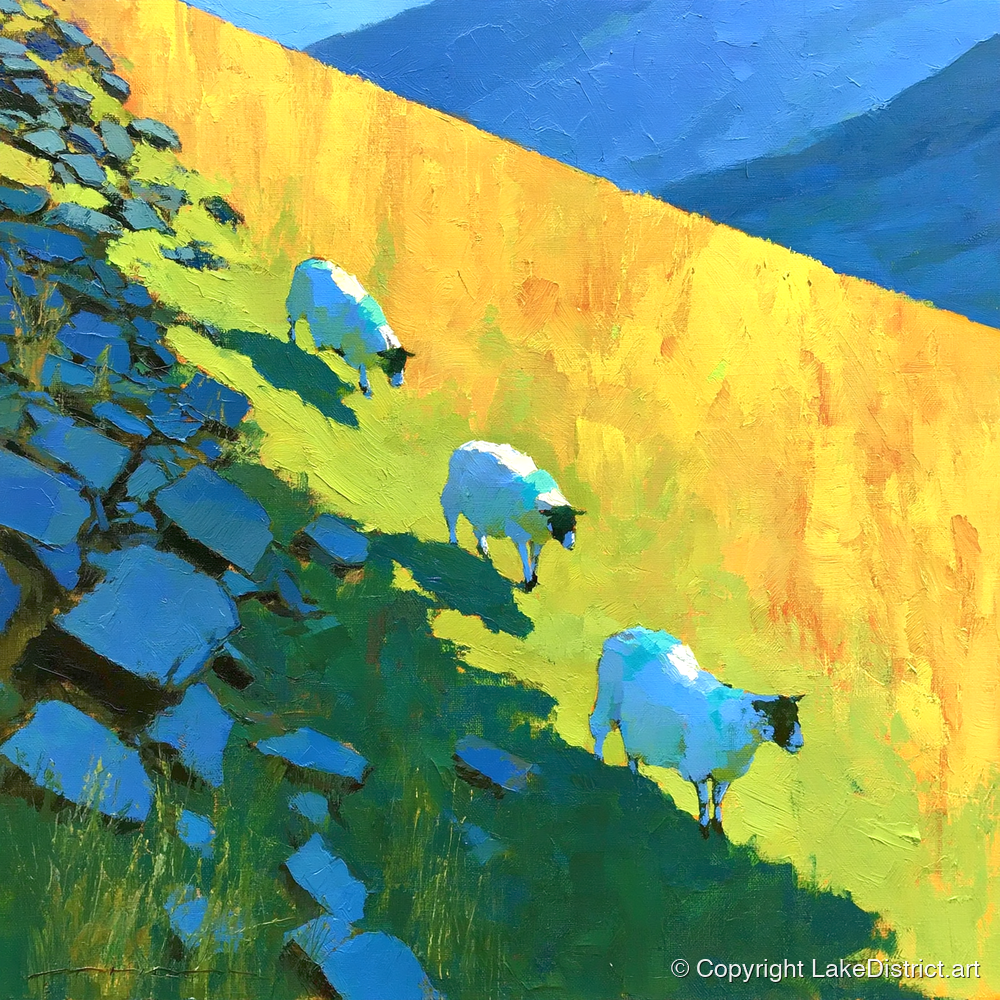 Fellside Sheep in Radiant Mountain Sunlight - lake district wildlife art print and canvas by Daphne Morley A.I