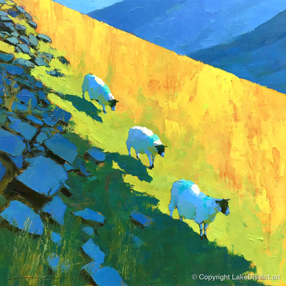 Fellside Sheep in Radiant Mountain Sunlight - lake district wildlife art print and canvas by Daphne Morley A.I