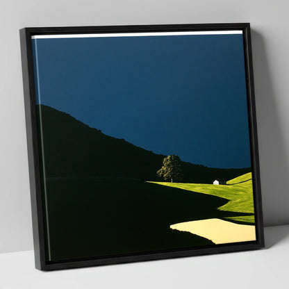 Sunlit Tree and Shadowed Fell lake district sky canvas wall art in black frame