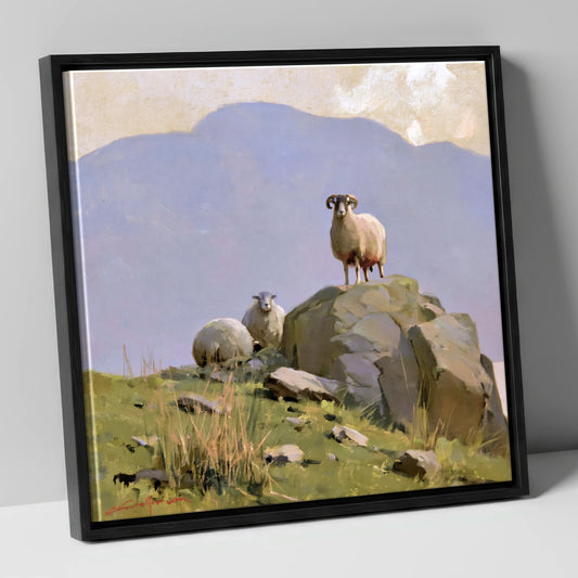 Herdwick Ram on Sunlit Fellside lake district wildlife canvas wall art in black frame