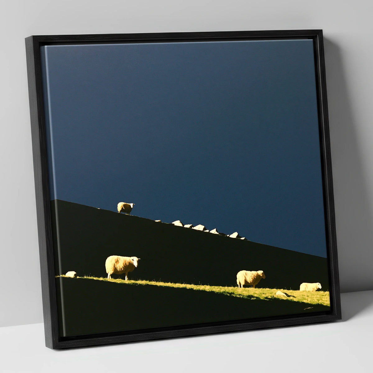 Herdwicks on a Silhouetted Fellside lake district wildlife canvas wall art in black frame