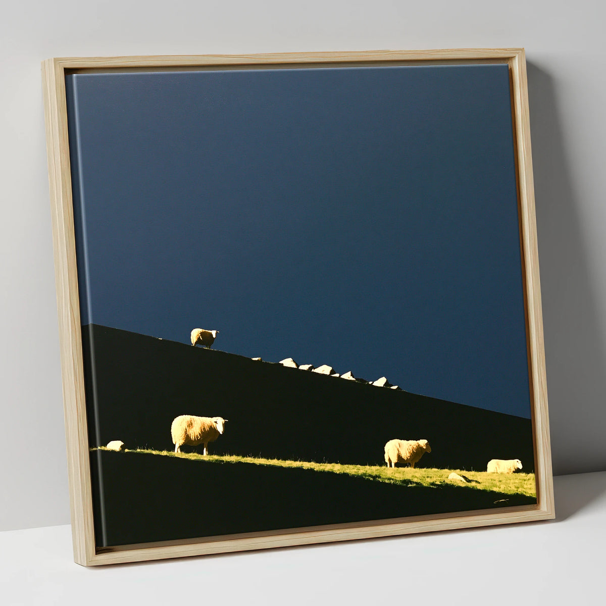 Herdwicks on a Silhouetted Fellside lake district wildlife canvas wall art in natural frame