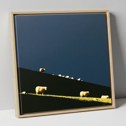 Herdwicks on a Silhouetted Fellside lake district wildlife canvas wall art in natural frame