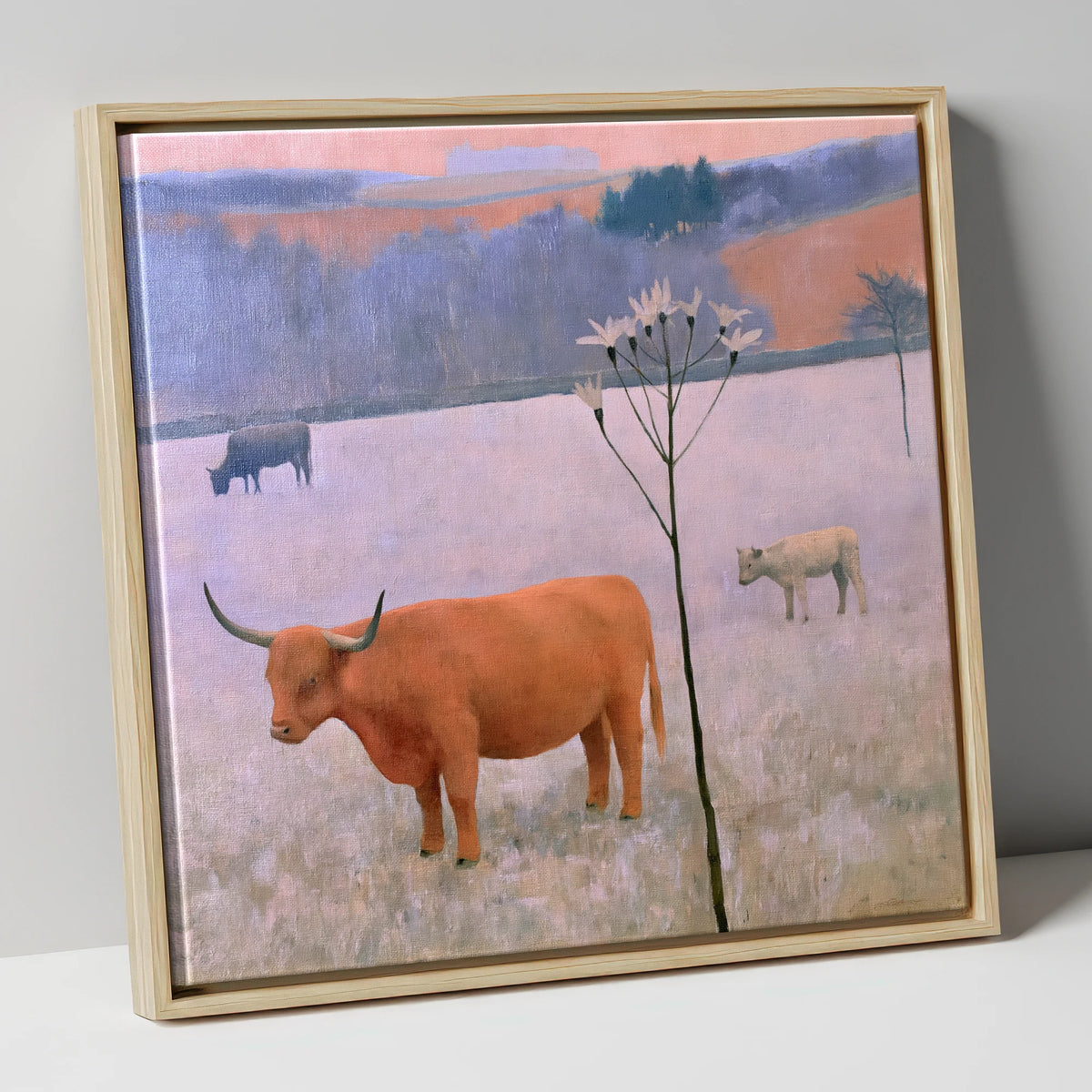 Highland Cattle on Frosted Fells lake district wildlife canvas wall art in natural frame