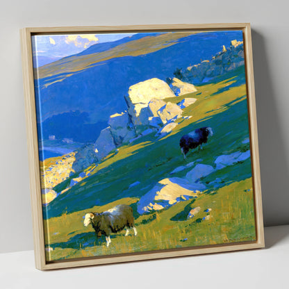 Herdwick Sheep on Sunlit Fell lake district wildlife canvas wall art in natural frame