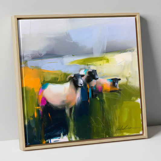 Vibrant Herdwick Sheep on Fellside lake district wildlife canvas wall art in natural frame
