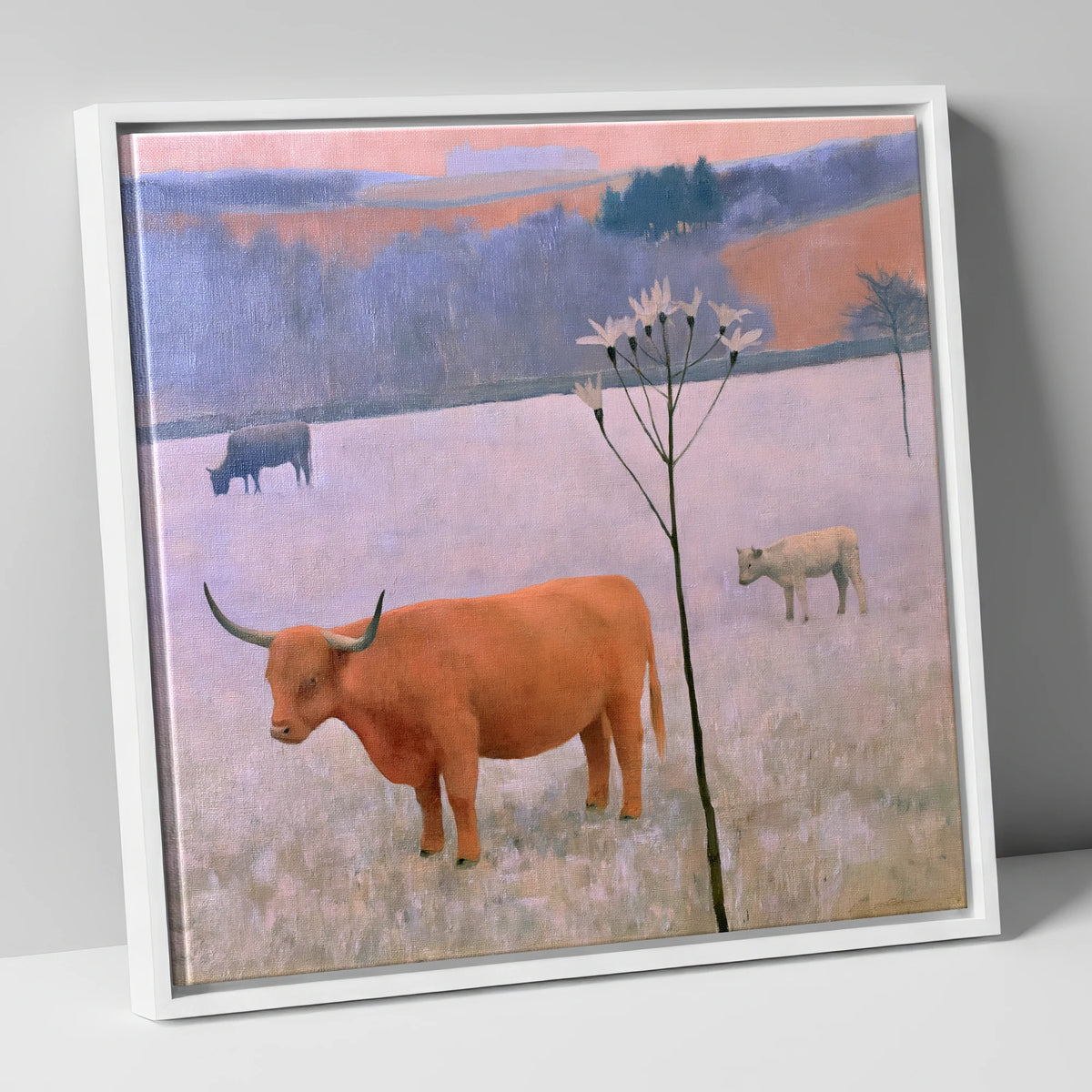 Highland Cattle on Frosted Fells lake district wildlife canvas wall art in white frame
