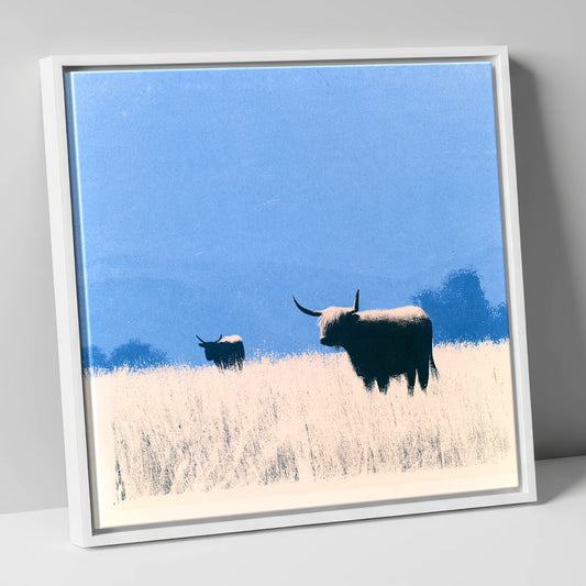 Highland Cattle Beneath Blue Skies lake district wildlife canvas wall art in white frame