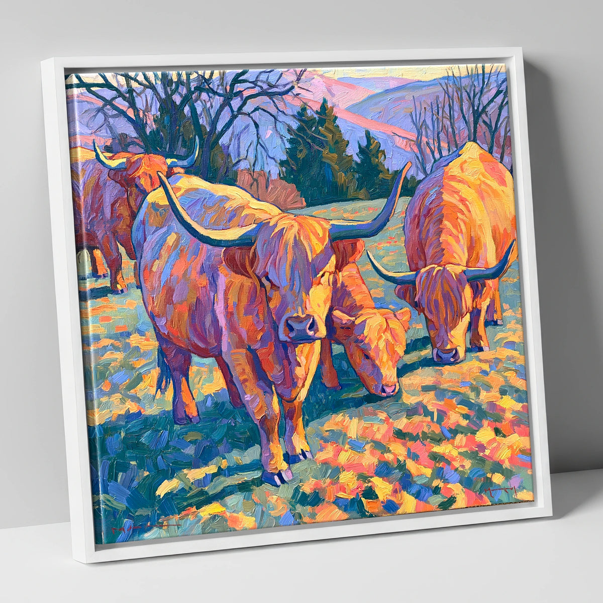 Highland Cattle in Golden Fell Light lake district wildlife canvas wall art in white frame