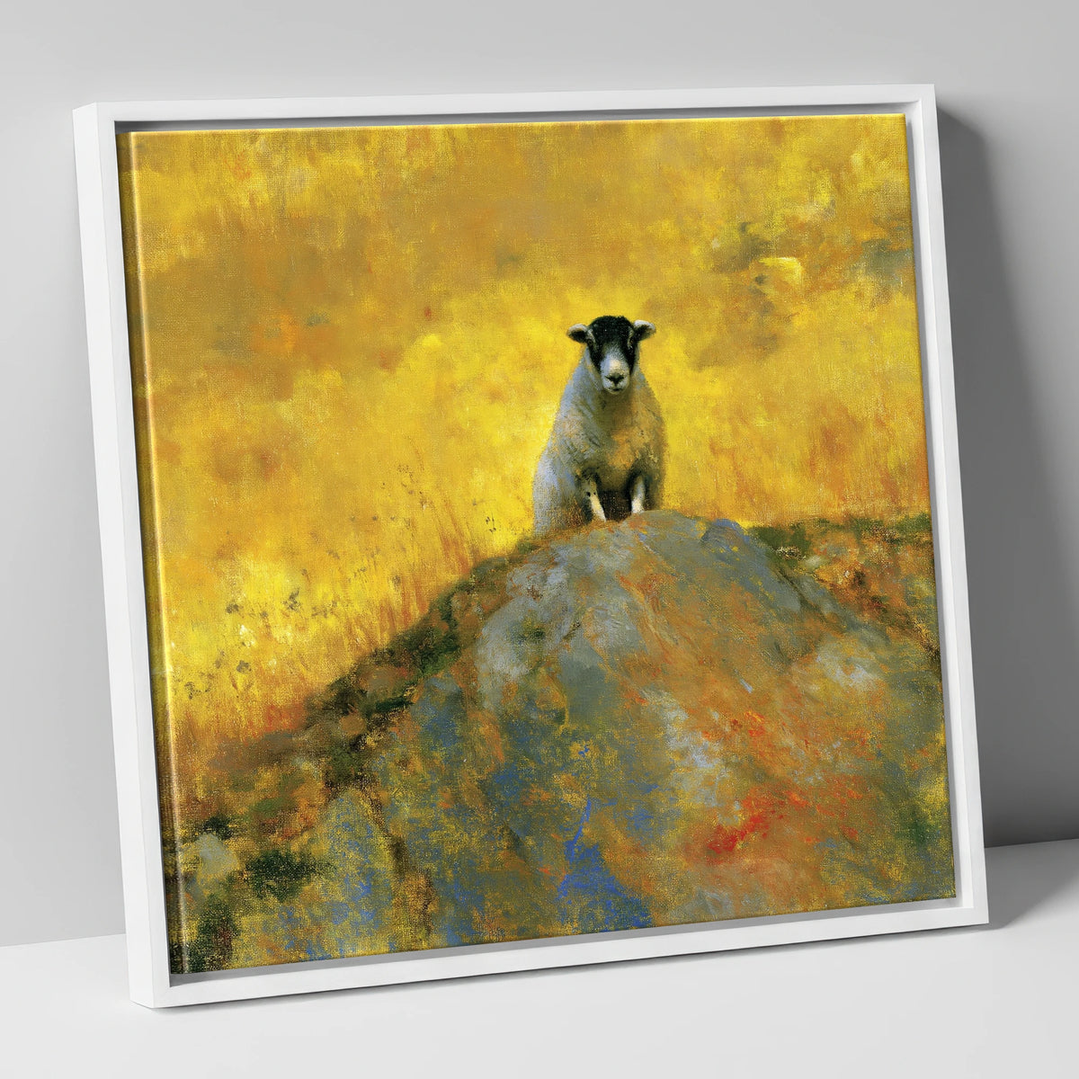 Herdwick Sheep in Golden Light lake district wildlife canvas wall art in white frame
