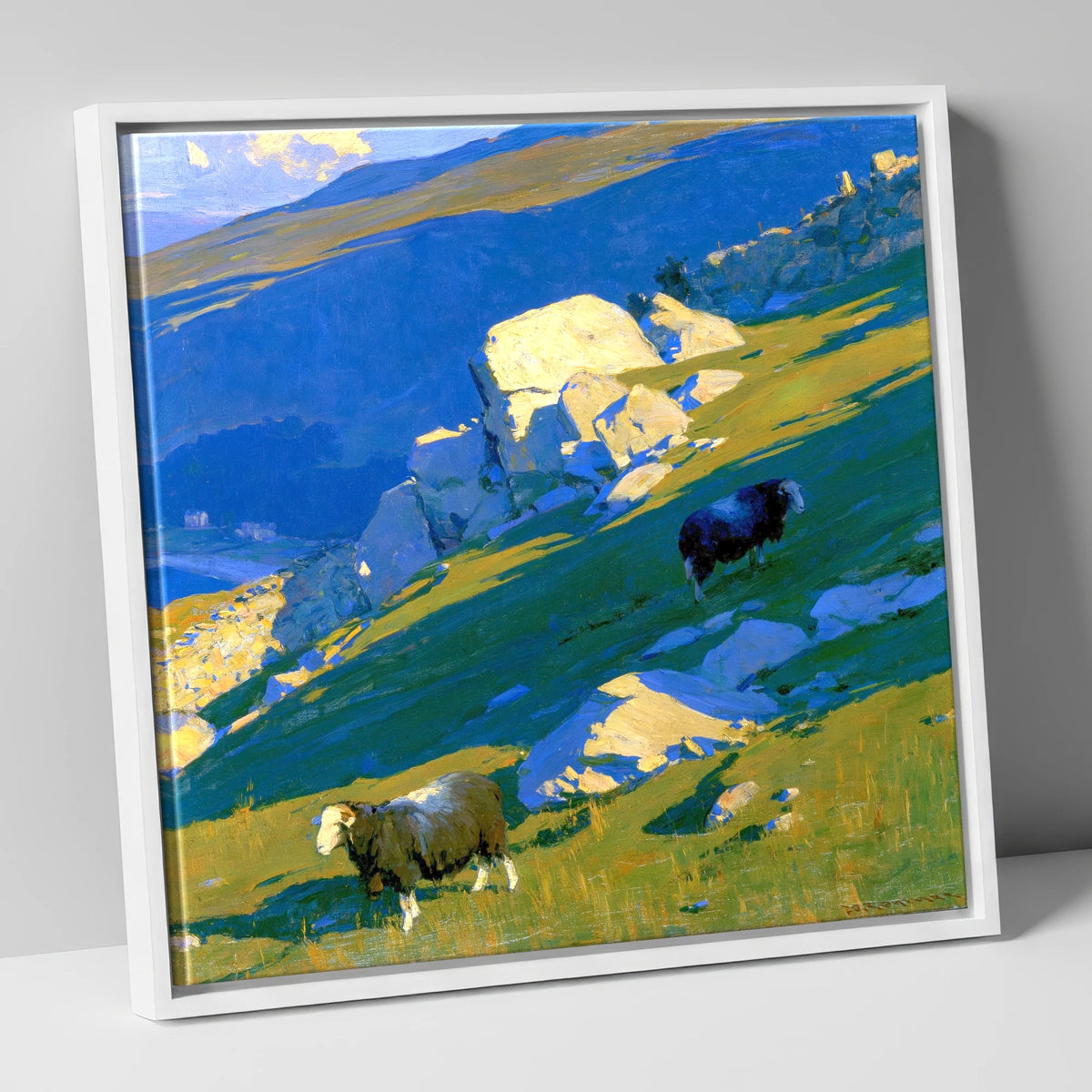 Herdwick Sheep on Sunlit Fell lake district wildlife canvas wall art in white frame