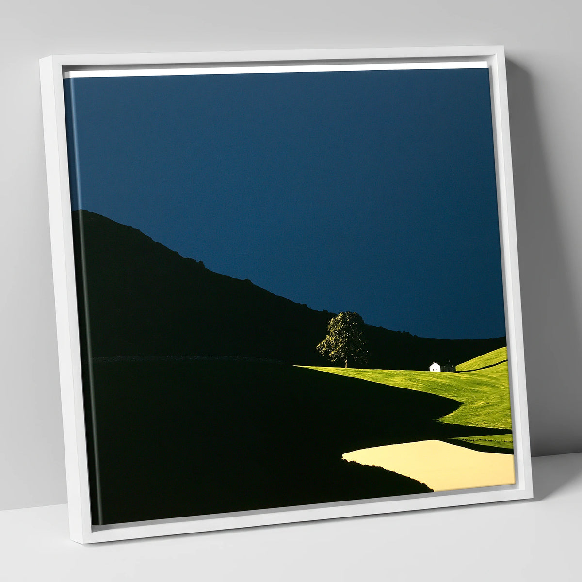 Sunlit Tree and Shadowed Fell lake district sky canvas wall art in white frame