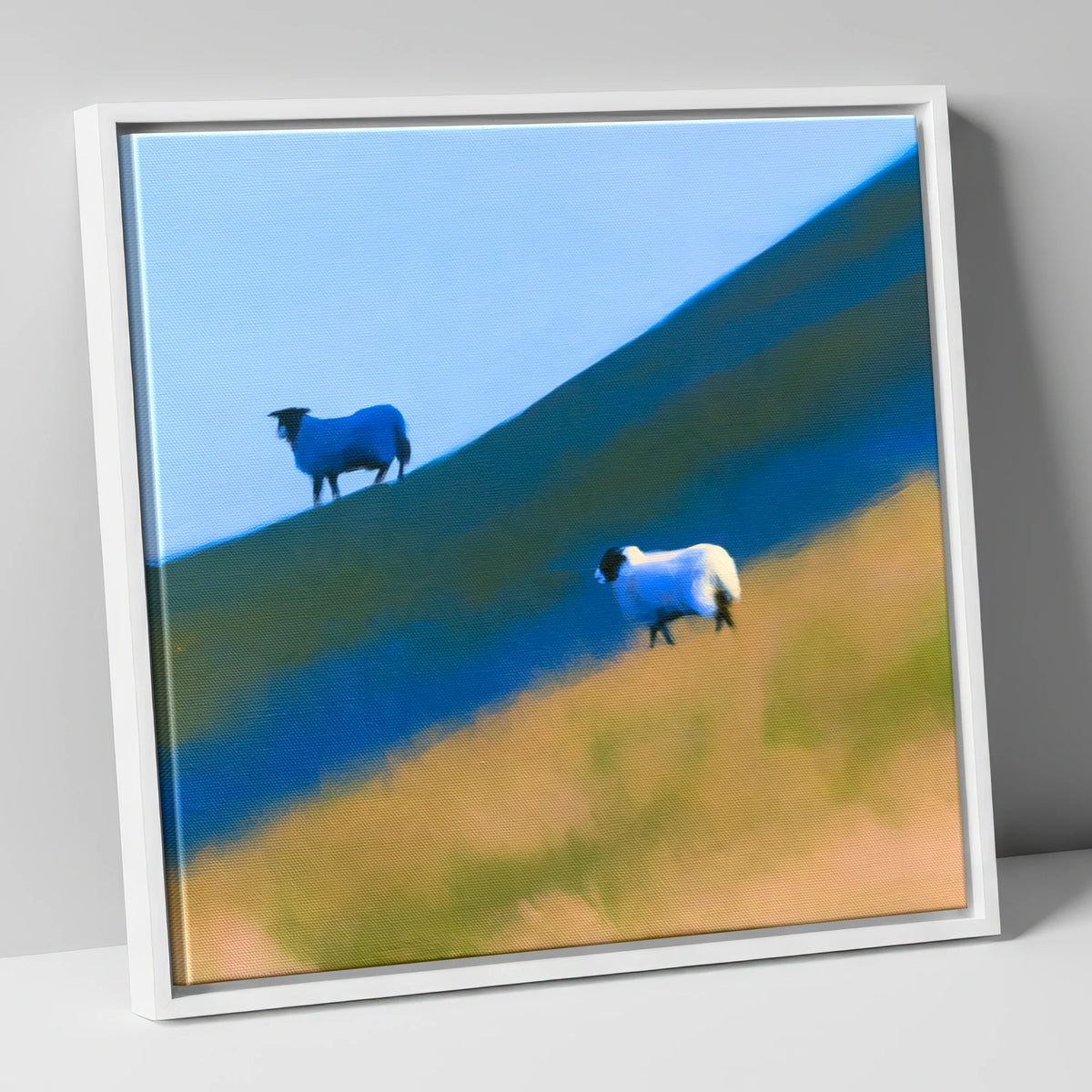 Herdwick Sheep on Blue Fellside lake district wildlife canvas wall art in white frame
