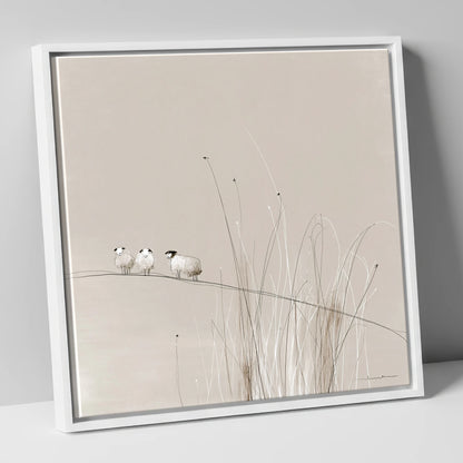 Herdwick Sheep among Fellside Grasses lake district wildlife canvas wall art in white frame