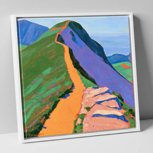 Vibrant Catbells Ridge Path lake district fell canvas wall art in white frame