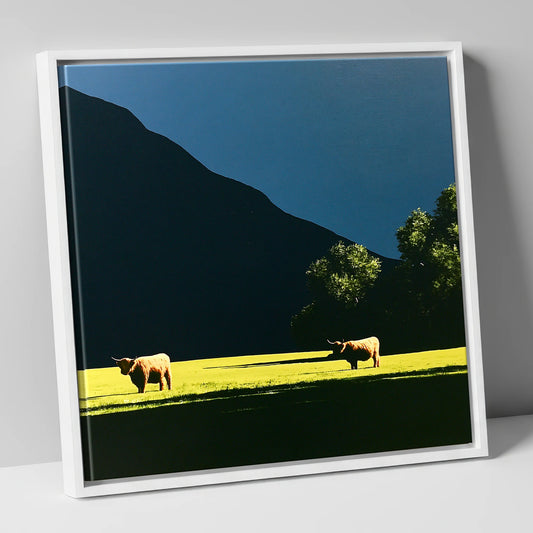 Sunlit Highland Cattle Below Fell lake district wildlife canvas wall art in white frame