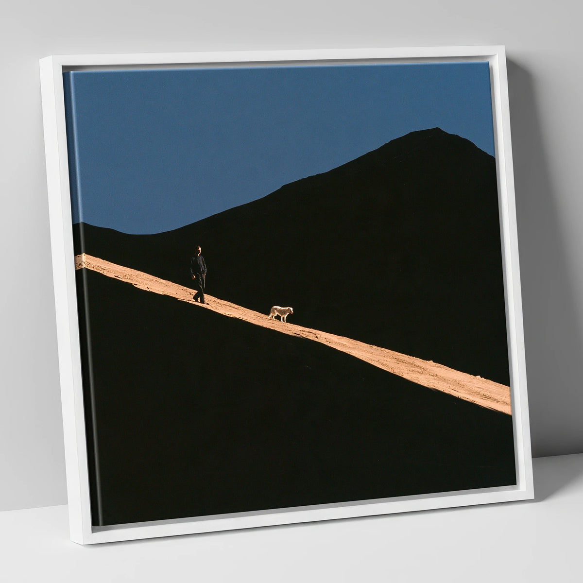 Dog Walker on Sunlit Skiddaw gifts for dog walkers canvas wall art in white frame