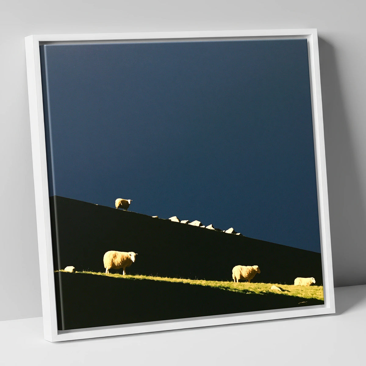 Herdwicks on a Silhouetted Fellside lake district wildlife canvas wall art in white frame