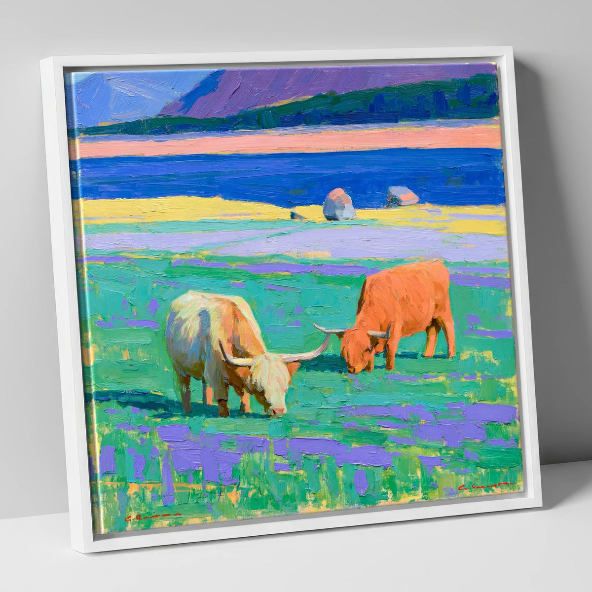 Vibrant Highland Cattle Pasture lake district wildlife canvas wall art in white frame