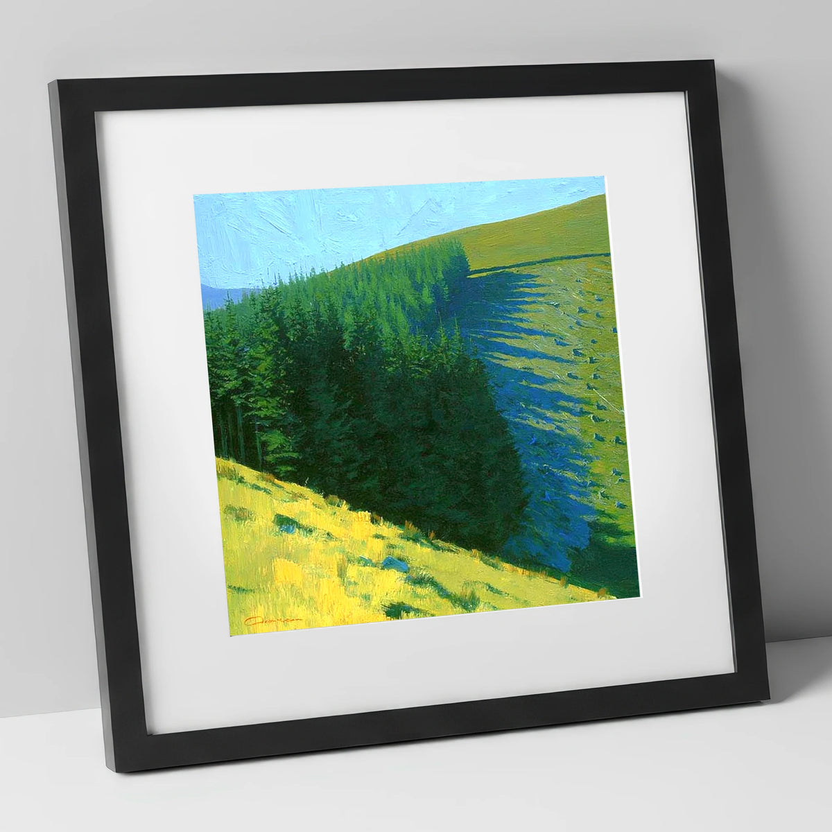 Conifer Shadows on Broom Fell lake district fell art print in black frame