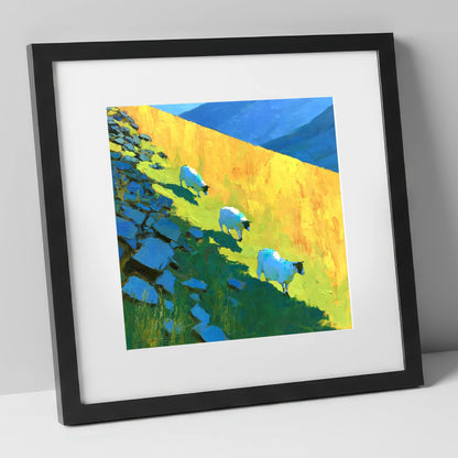 Fellside Sheep in Radiant Mountain Sunlight lake district wildlife art print in black frame