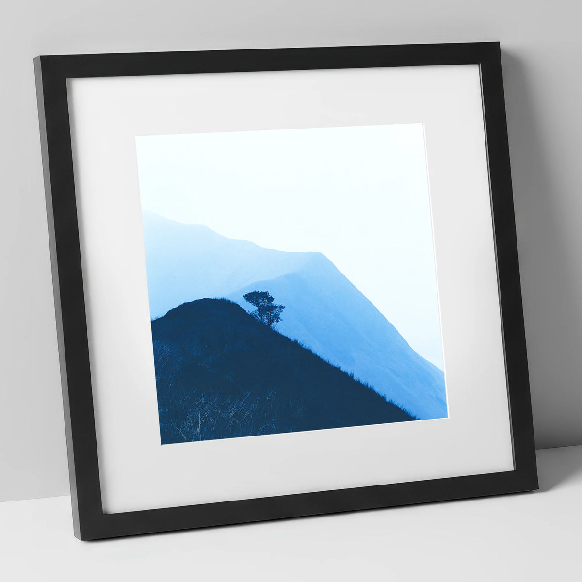 Lone Tree on Blue Ridge lake district fell art print in black frame