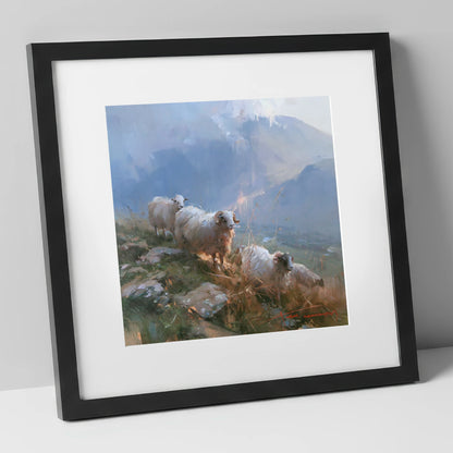 Herdwick Sheep on a Sunlit Fell lake district wildlife art print in black frame