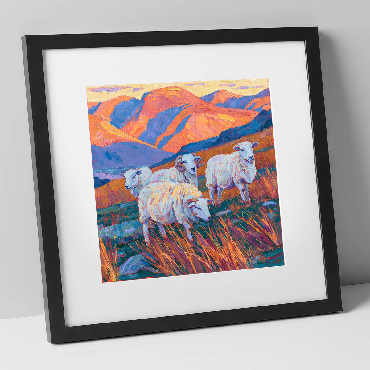 Herdwick Sheep in Sunset Fells lake district wildlife art print in black frame