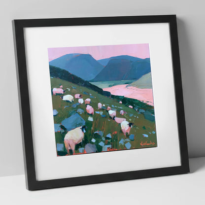 Herdwick Sheep Under Pink Skies lake district wildlife art print in black frame