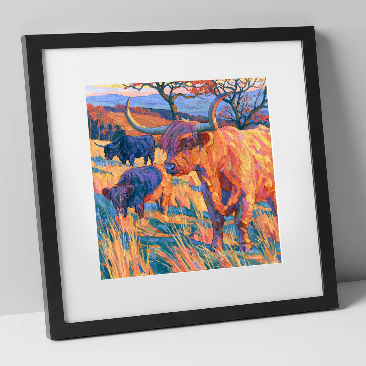 Highland Cattle in Vibrant Fell Light lake district wildlife art print in black frame