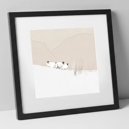 Herdwick Sheep on Minimalist Fell lake district wildlife art print in black frame