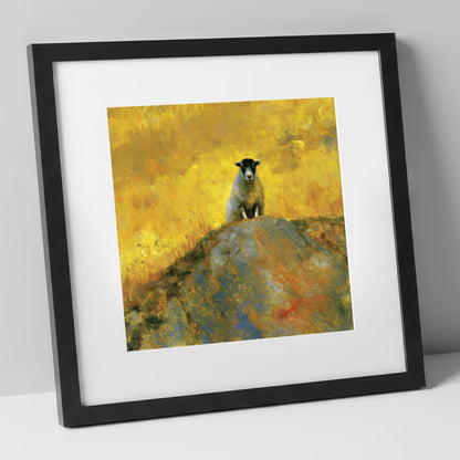 Herdwick Sheep in Golden Light lake district wildlife art print in black frame