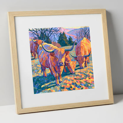 Highland Cattle in Golden Fell Light lake district wildlife art print in natural frame