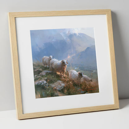 Herdwick Sheep on a Sunlit Fell lake district wildlife art print in natural frame