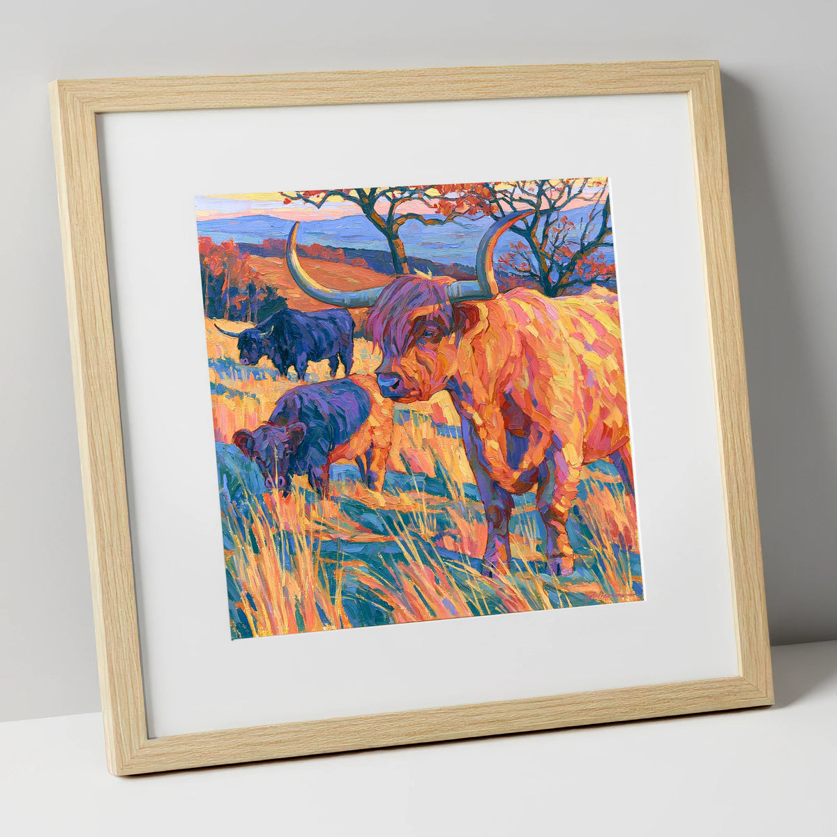 Highland Cattle in Vibrant Fell Light lake district wildlife art print in natural frame