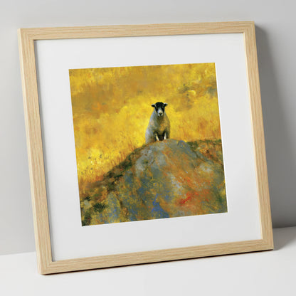 Herdwick Sheep in Golden Light lake district wildlife art print in natural frame