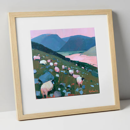 Herdwick Sheep Under Pink Skies lake district wildlife art print in natural frame
