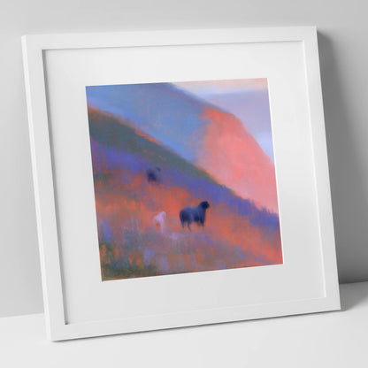 Herdwicks on a Twilight Fellside lake district wildlife art print in white frame