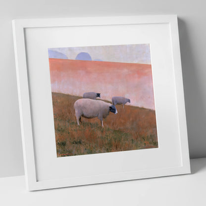Herdwick Sheep on Pastel Fellside lake district wildlife art print in white frame