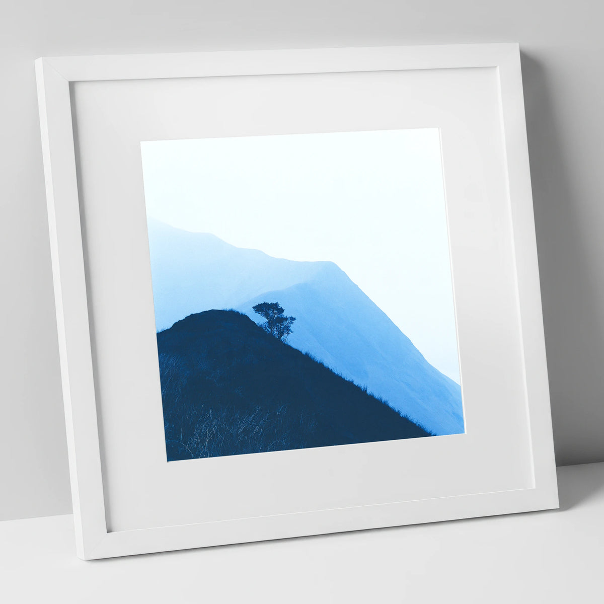 Lone Tree on Blue Ridge lake district fell art print in white frame
