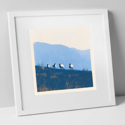 Herdwick Flock on Indigo Fellside lake district wildlife art print in white frame