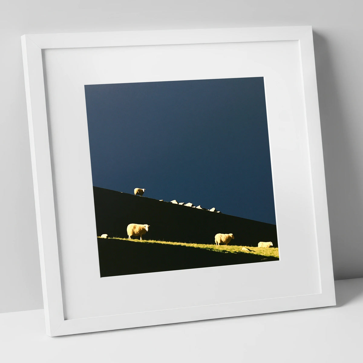 Herdwicks on a Silhouetted Fellside lake district wildlife art print in white frame