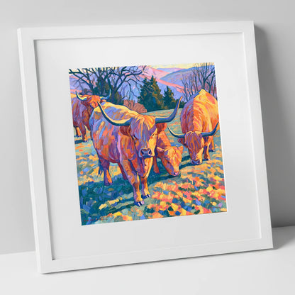Highland Cattle in Golden Fell Light lake district wildlife art print in white frame