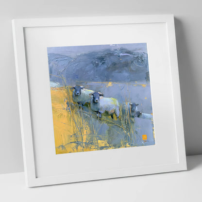 Herdwick Sheep Against Slate Fells lake district wildlife art print in white frame