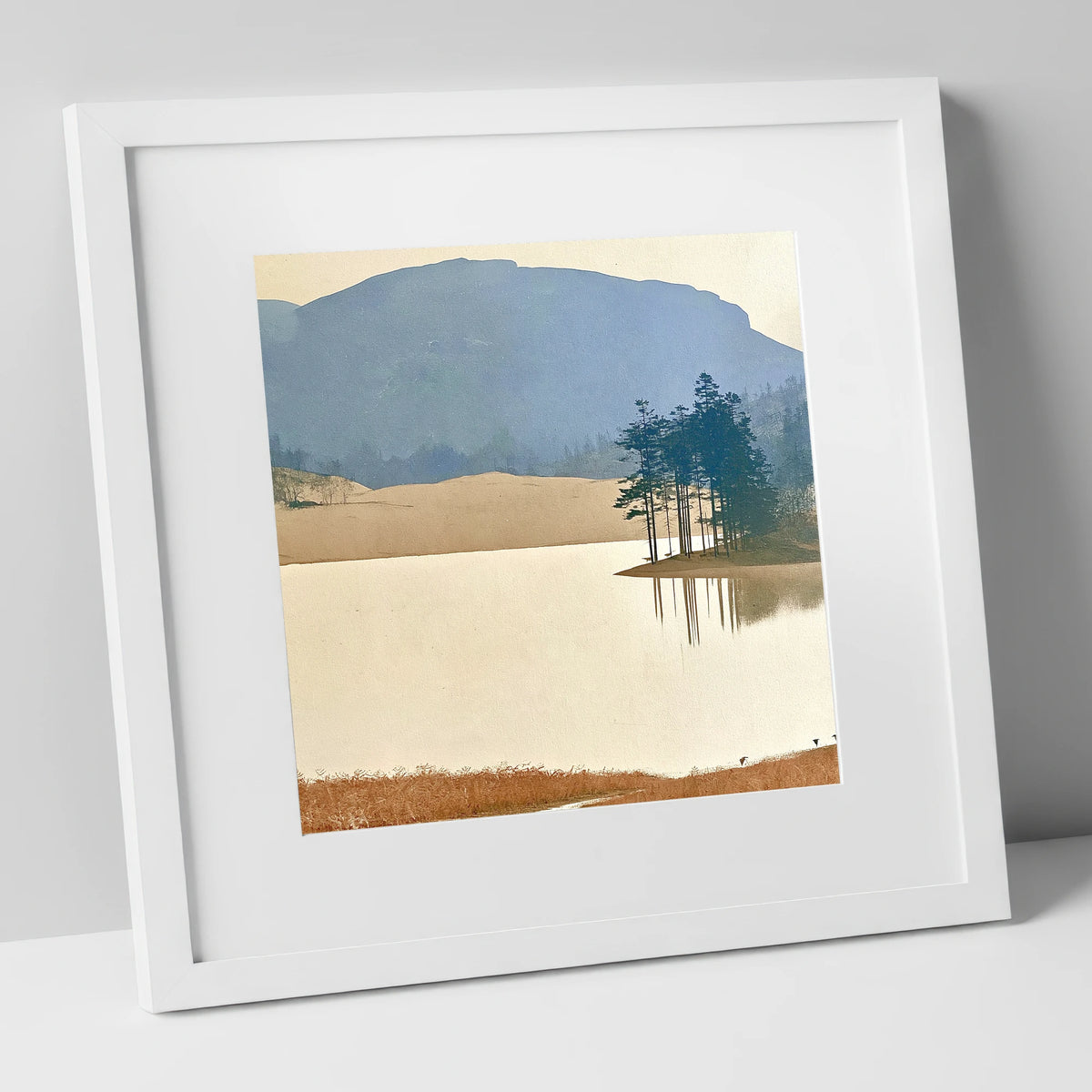 Reflected Pines at Tarn Hows lake district lake art print in white frame