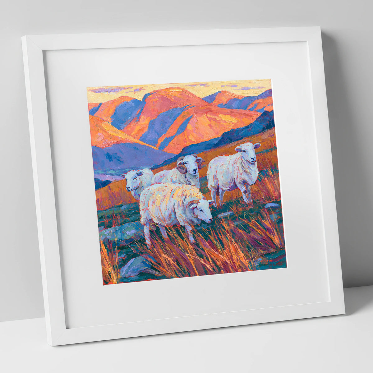 Herdwick Sheep in Sunset Fells lake district wildlife art print in white frame